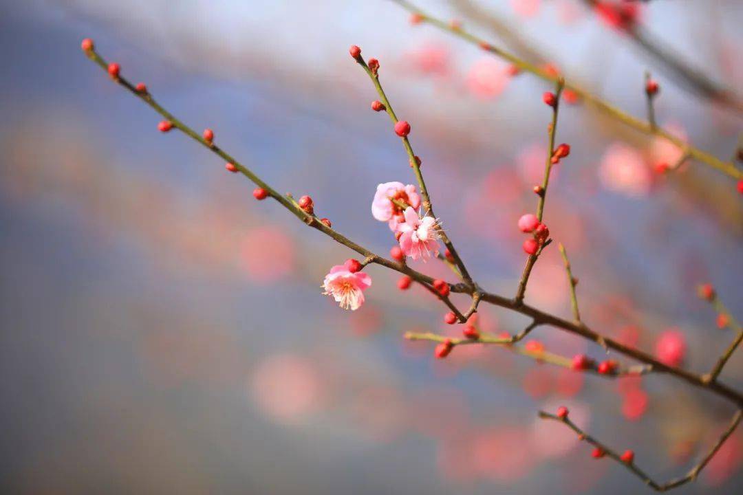 21℃!连云港涨涨涨