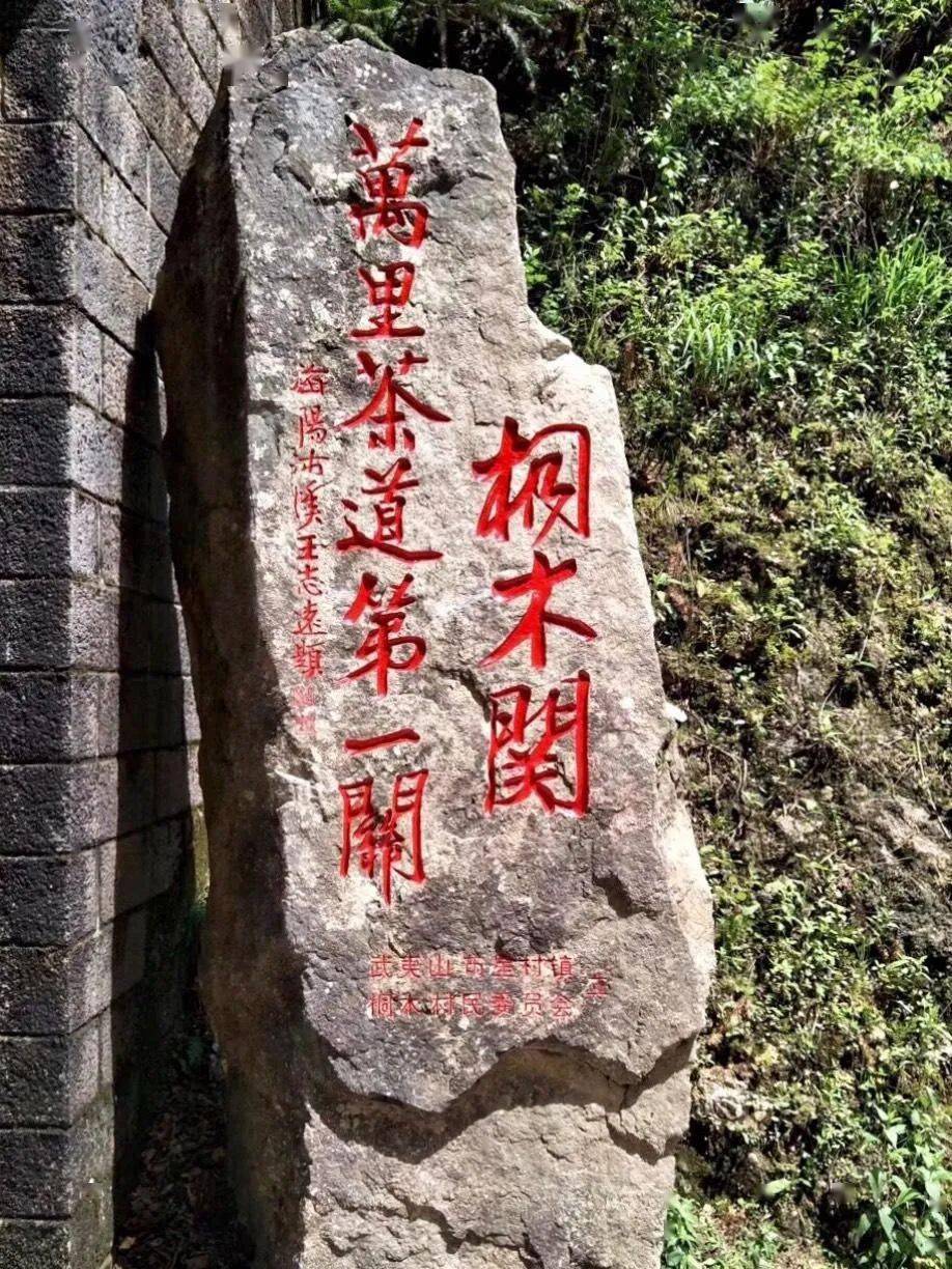 武夷山正山小种红茶是红茶中的优秀品种.