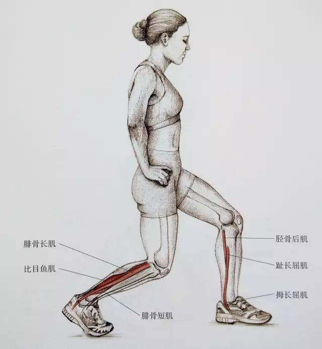 经典21点平台