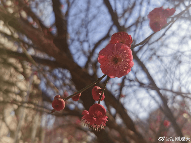 走在春天里，我们去赏花！