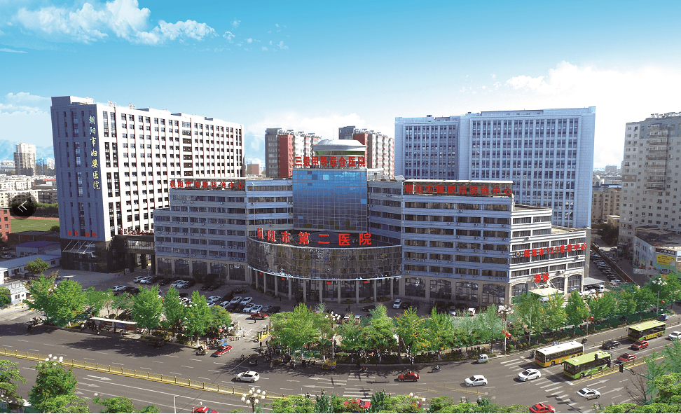 朝阳市第二医院春节假期紧急救治冰钎子扎入胸腔患者