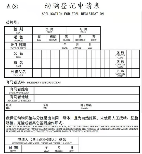 马匹登记图片