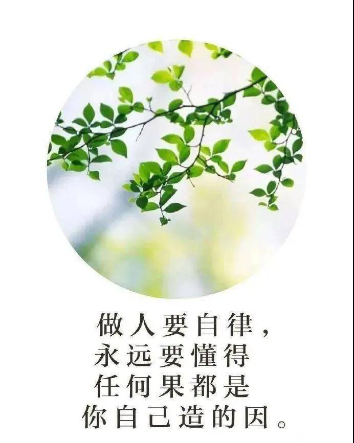 善良,是正能量开在心灵的一朵花;宽容,是洒满人间的一缕阳光.