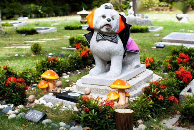 宠物墓园宠物殡葬行业的兴起,从表面来看是提高了宠物们获得的待遇,给