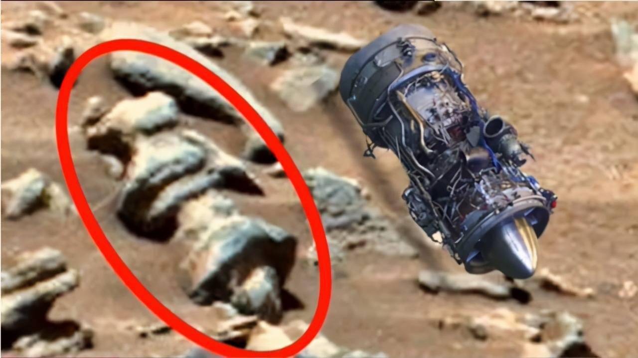 毅力号传回首张火星彩色照片,此前火星曾发现野猪,是真的吗
