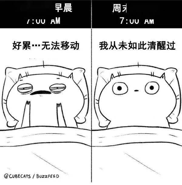 工作日的早晨vs周末的早晨