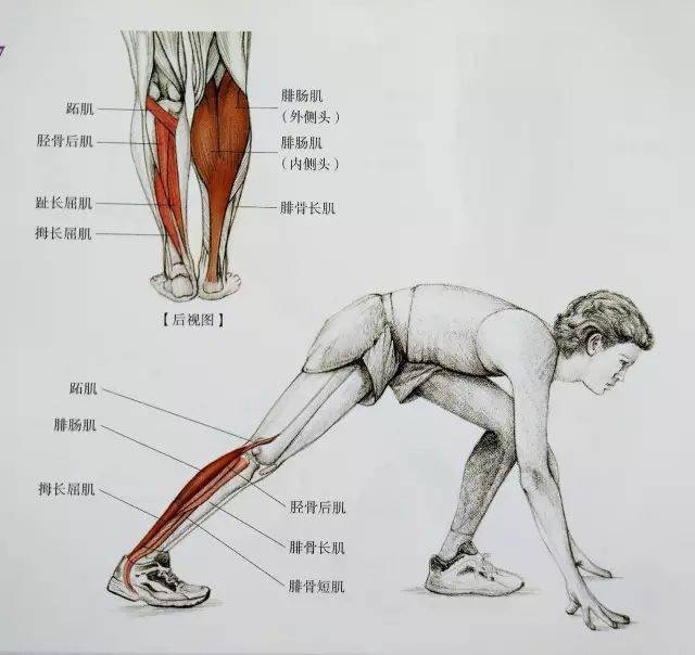 经典21点平台