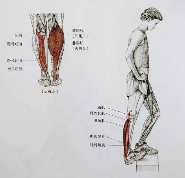 经典21点平台