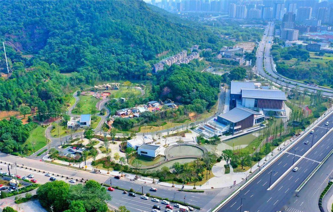 萌化了临平山运动休闲公园喜添黑天鹅宝宝