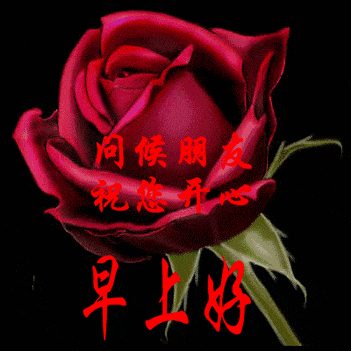 早上好的短句子中午好表情图祝福语简短 投诉