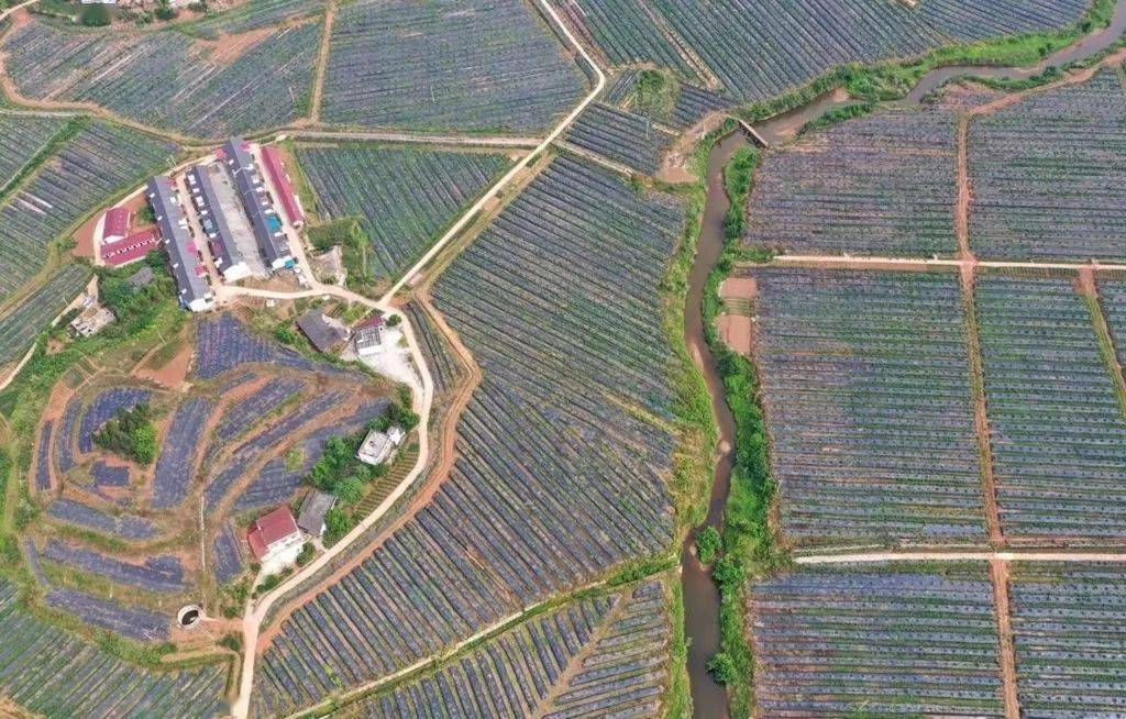 贵溪市潜岭村委会有多少人口_贵溪市太平洋超市图片(2)