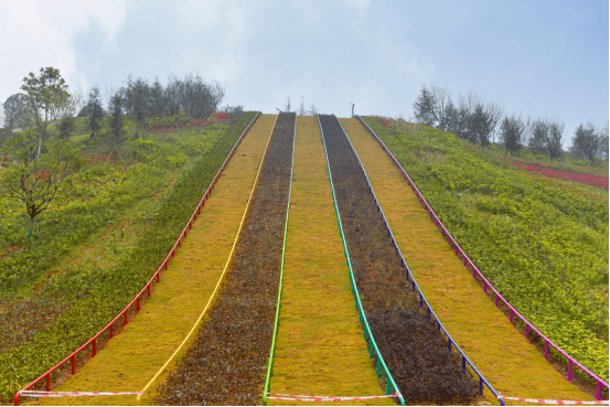 67个坡坎崖“换颜” ，两江新区打造山城“挂毯”式坡坎崖公园！