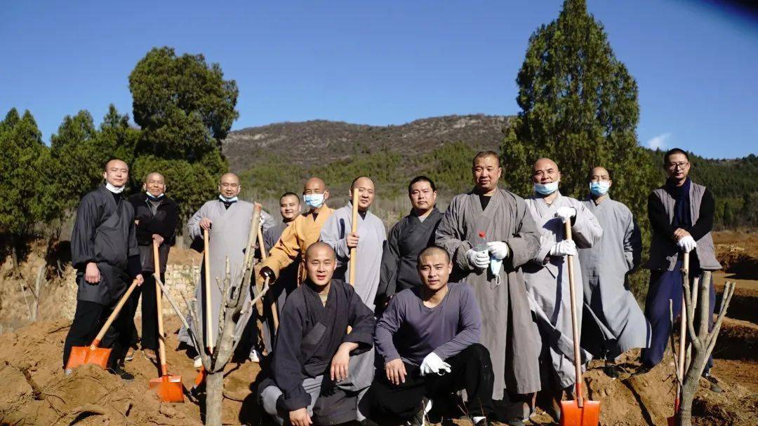 少林功德林丨僧众集体出坡栽植首批少林福树