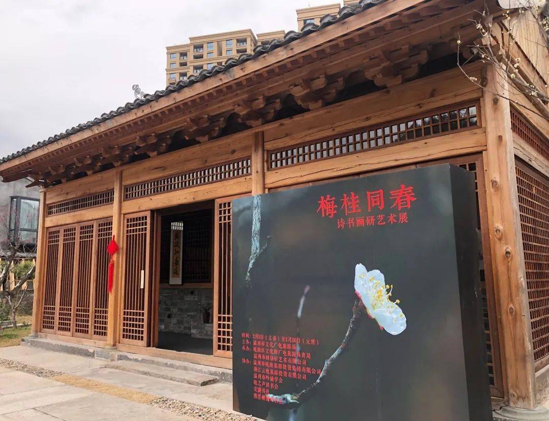 山根镇总人口_没有山根的鼻子图片(3)