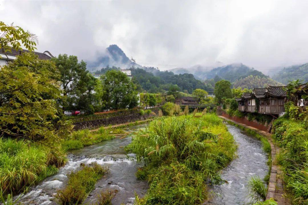 又一好去处泰顺这里要建森林特色小镇
