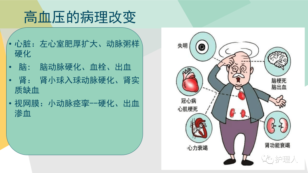 最新高血压护理解读欢迎预约收看