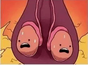 通常左侧睾丸偏低略大,只要大小差异不大且没有任何疼痛或不适感,就不