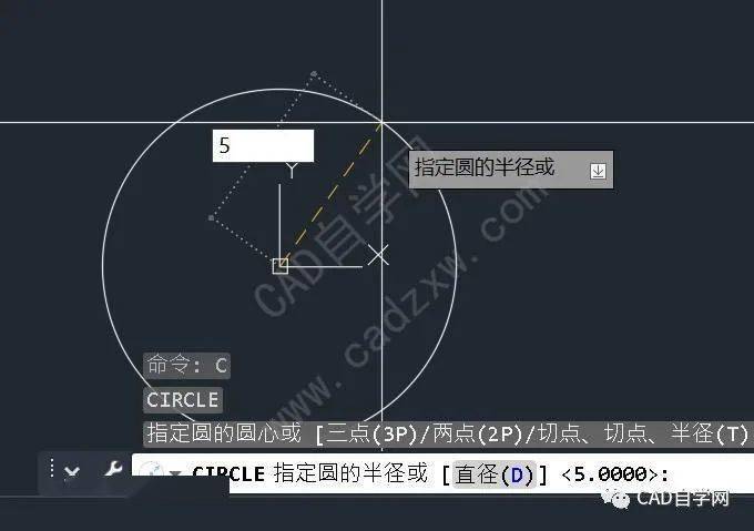 神仙操作cad一分钟能定位出n个圆