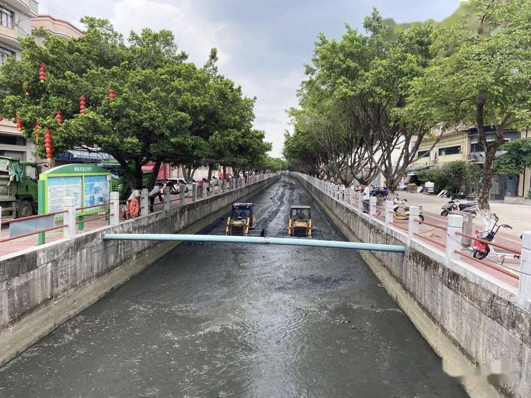 靓均安这些黑臭河涌大变样了