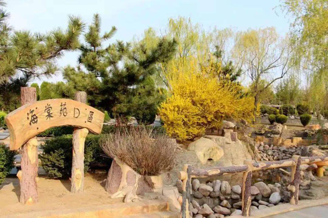 创新发展的青岛仙鹤陵公墓