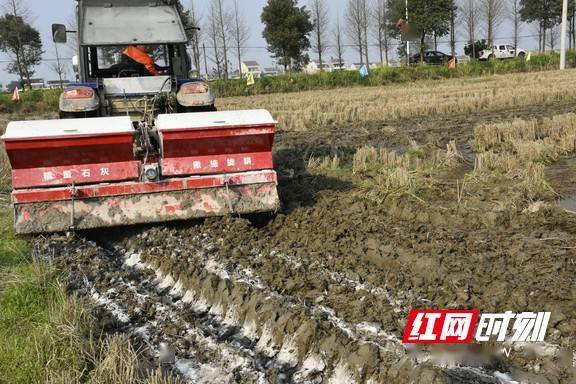 投入使用|视频｜一种新型农机在湖南益阳投入使用