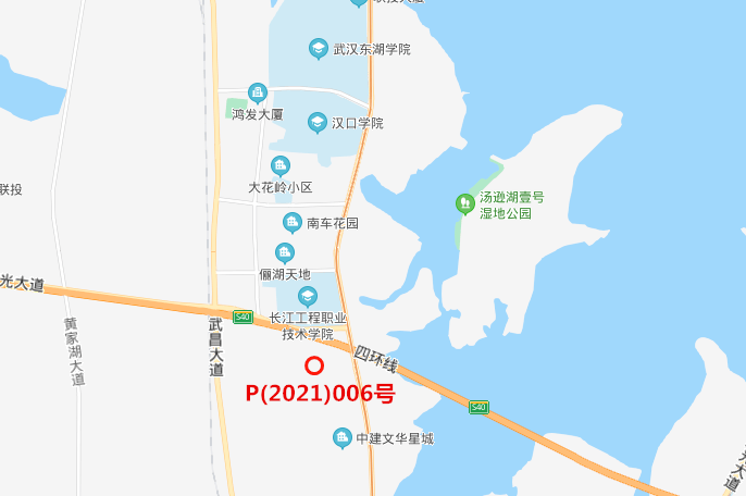 世界的人口面积排名2020_世界城市人口排名2020