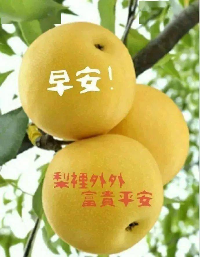 2021牛年每天早上好问候语及关心话早上好的句子