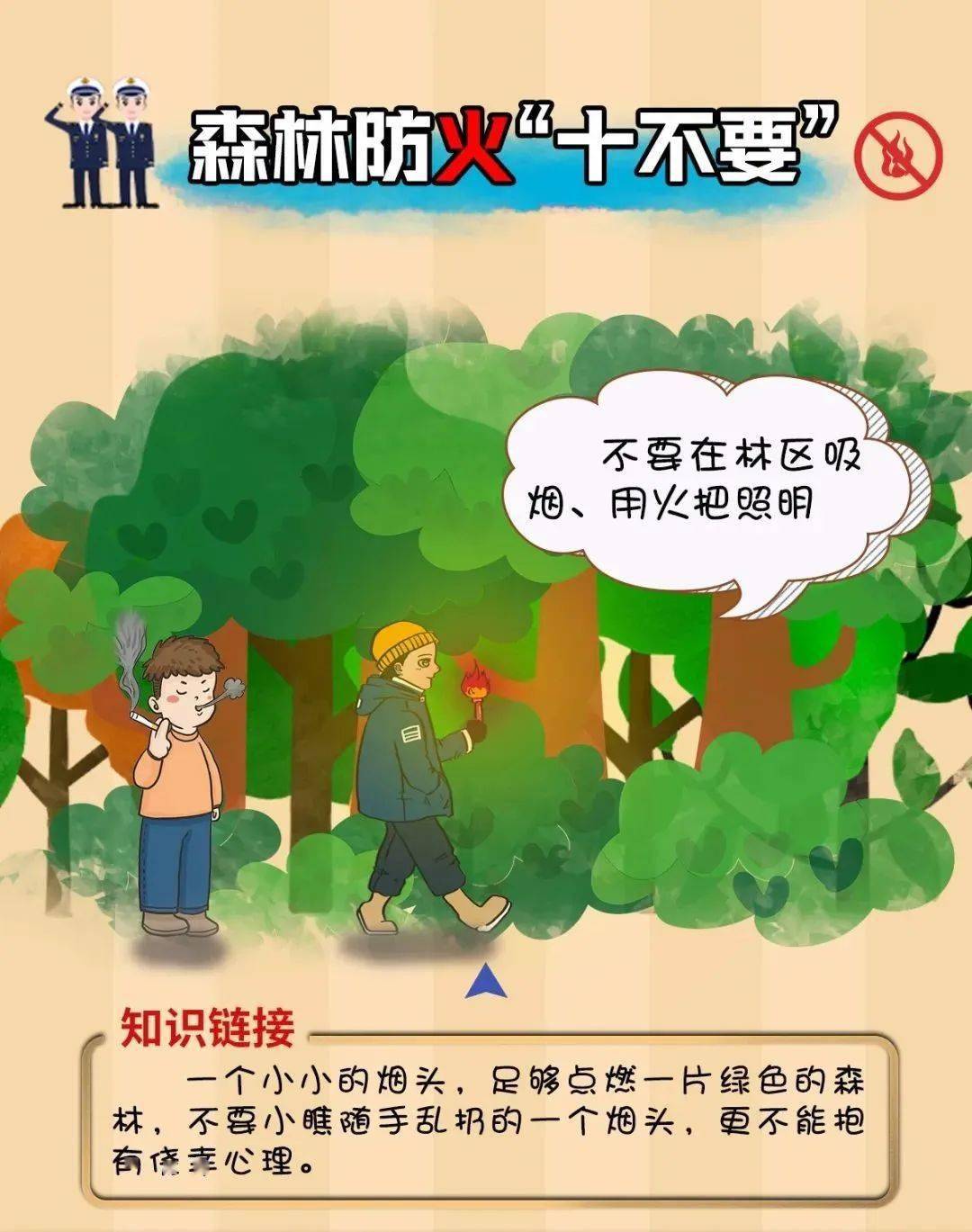 森林循环圈14人口阵容_血液循环图