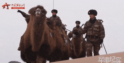 3b6e850128f74a9a89d5b143baf43cde.gif