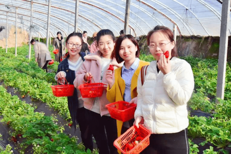 石家庄石门实验中学_石家庄石门实验中学怎么样_石家庄石门实验中学官网