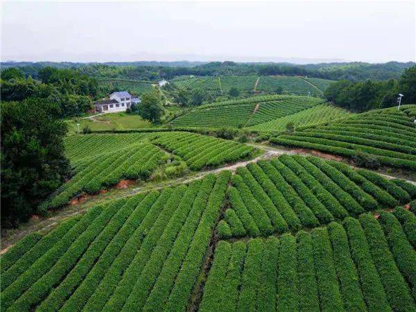 湖南省长沙市开慧镇GDP_湖南省长沙市龙伏镇