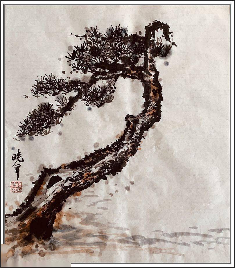 罗汉松到底是做造型还是去整容