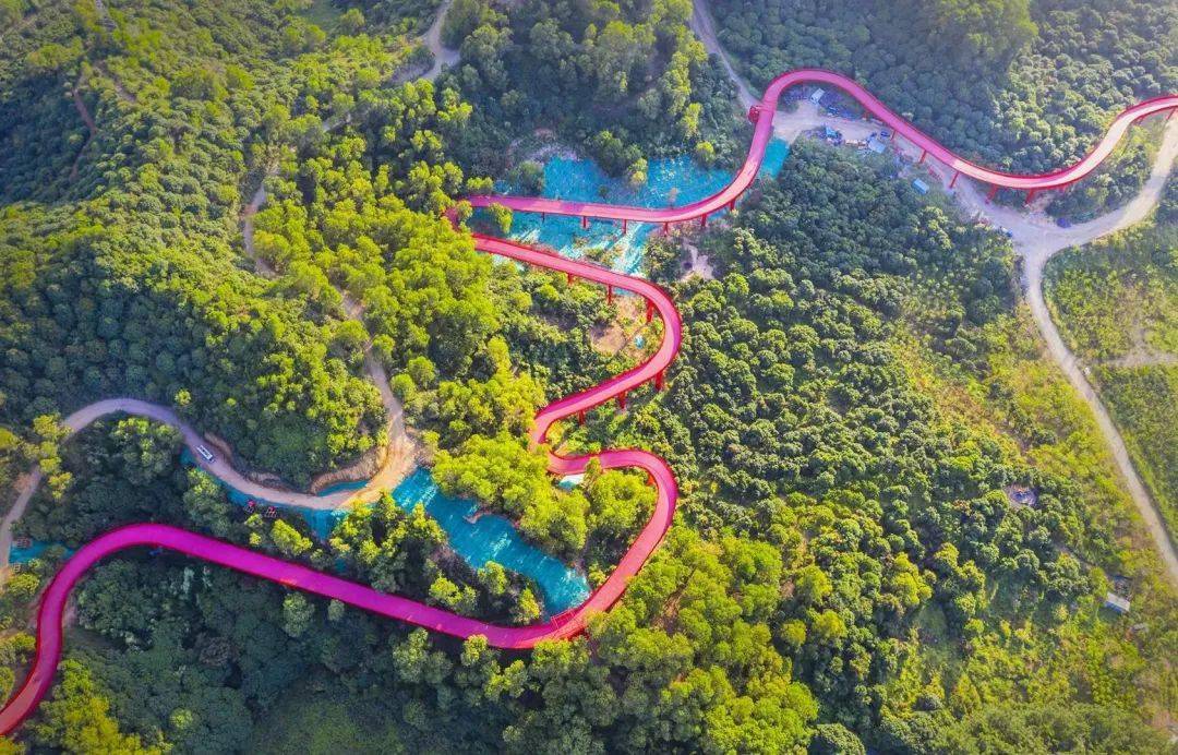 聚焦高颜值的高光时刻光明虹桥公园因何能在春节走红