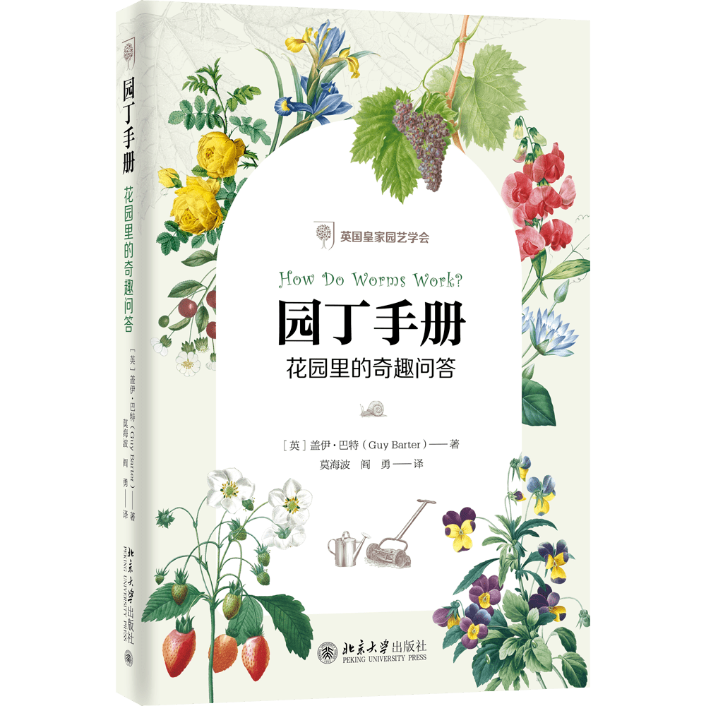 什么问柳成语_成语故事简笔画