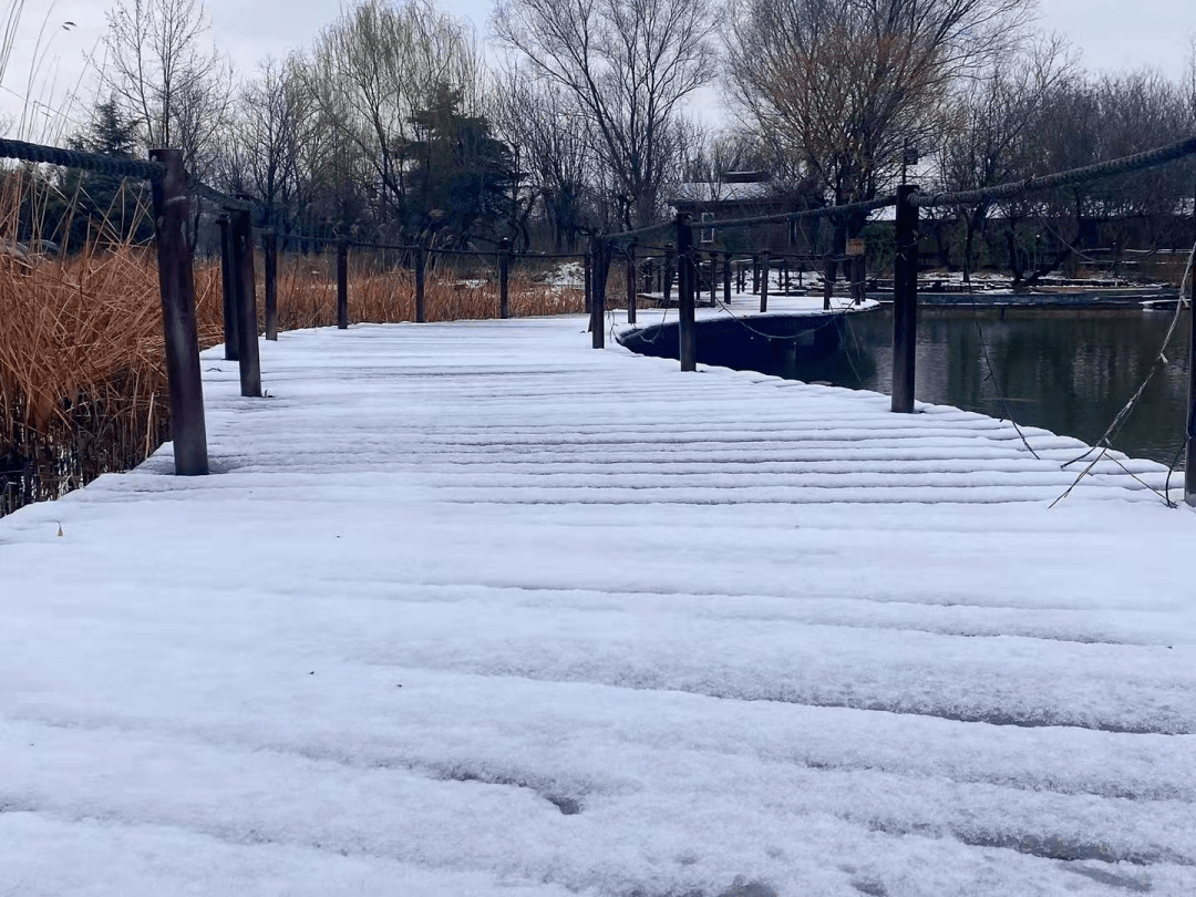 身边美景雪好美就是化得有点快没事咱曲阜的雪景帮您留下来了