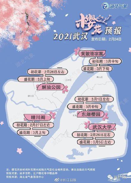 武汉最新樱花预报来了！ 武大樱花将于26日前后开放，花期比往年多出一周