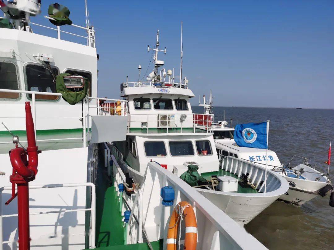 本次行动中,崇明4艘长江渔政执法船,会同江苏太仓市渔政船以及长江