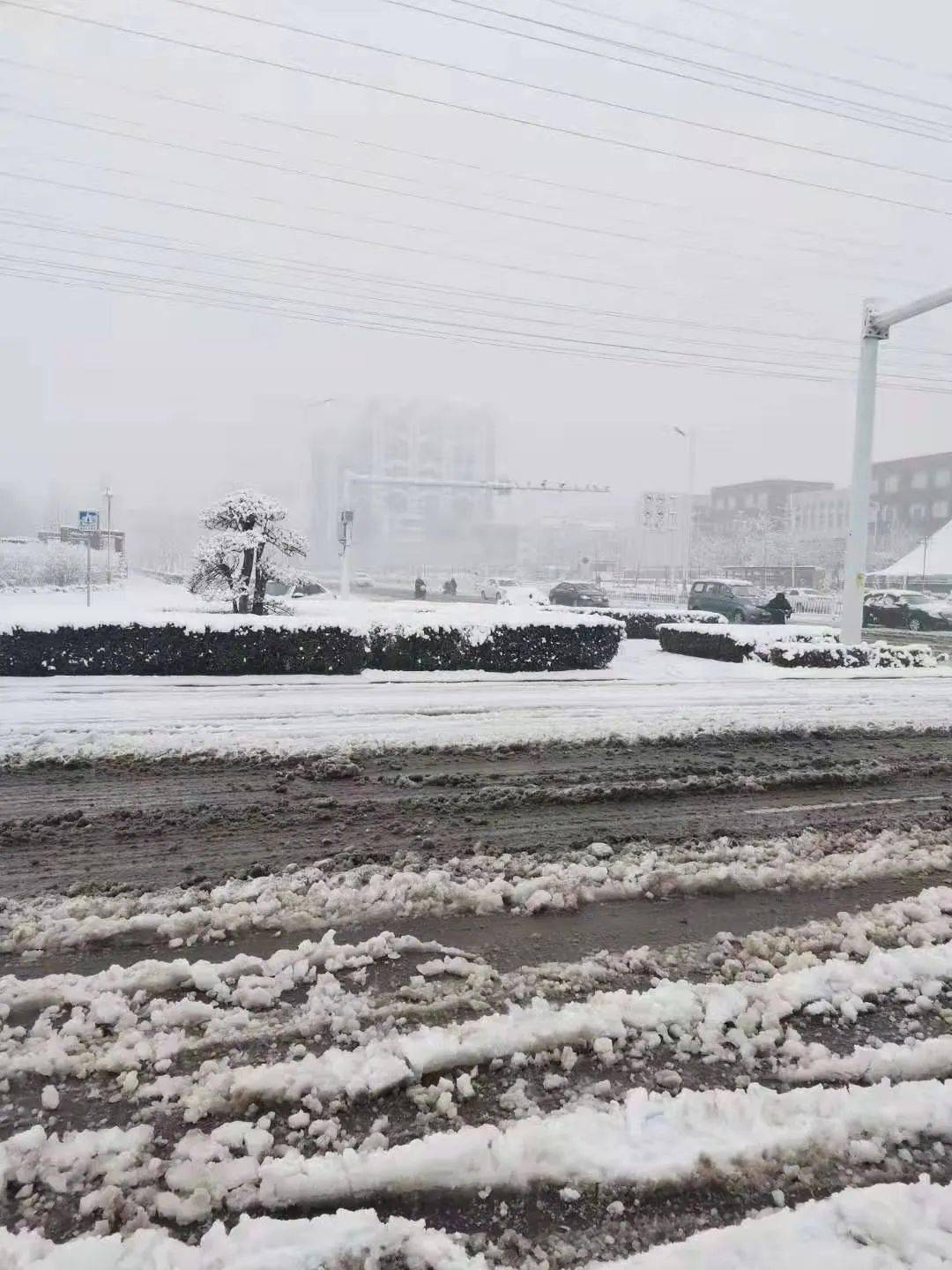 紧急潍坊大雪袭城发布暴雪预警