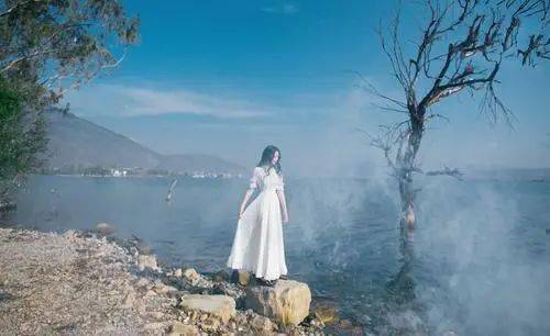 严歌苓角儿朱依锦白蝶标本