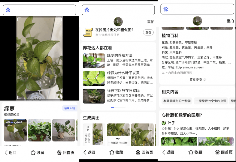 见图识植物软件图片