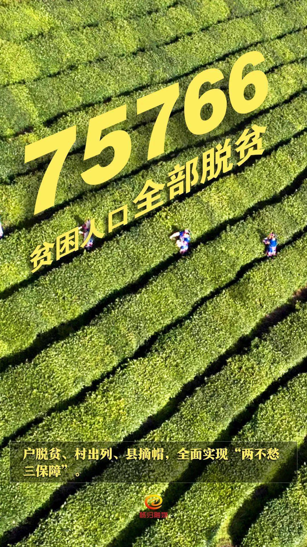 脱贫攻坚秭归有多拼,这组数字告诉你!