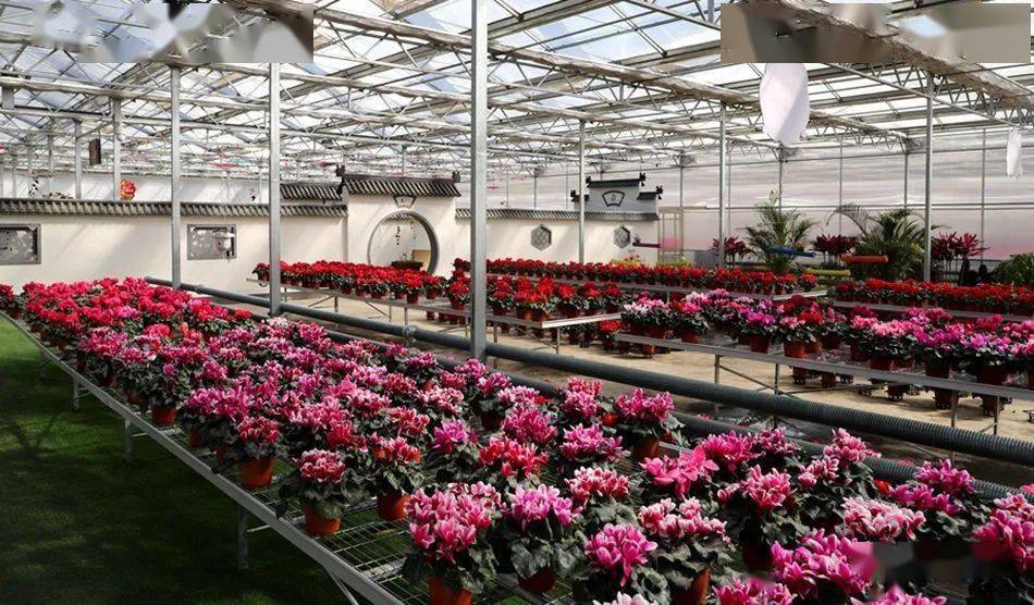 2021年是"十四五"开局之年,当许多市民还沉浸在新春佳节的喜庆氛围中