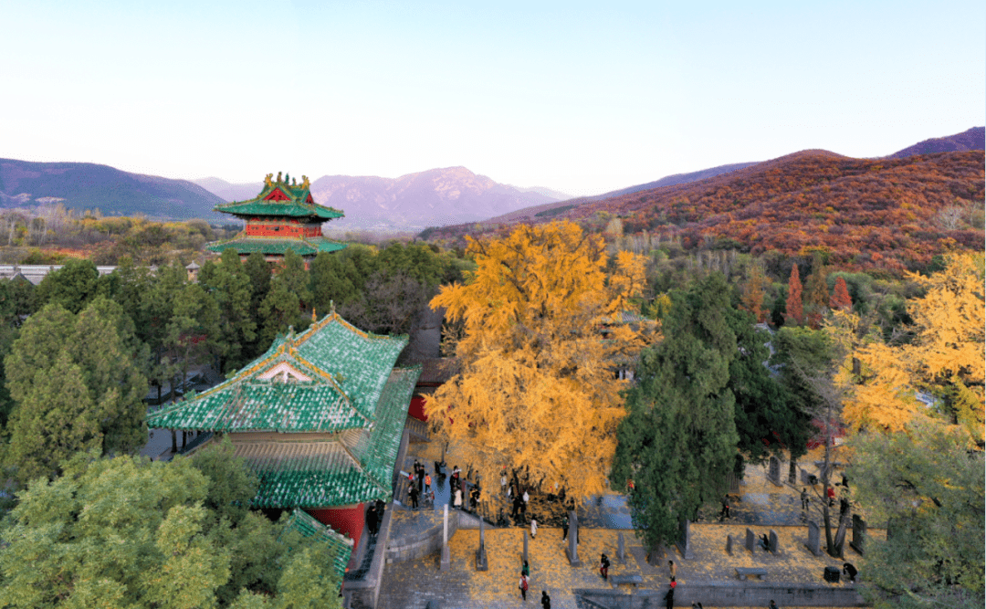 嵩山景区内少林寺常住院等场所今起有序恢复开放！