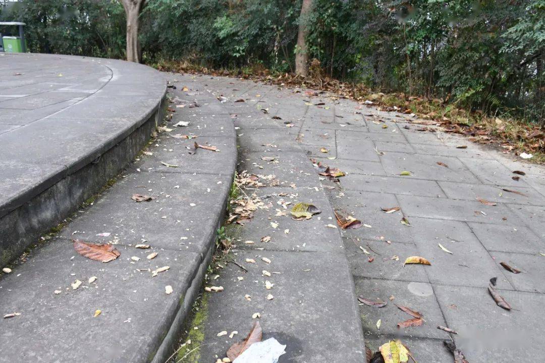 爱护环境不要让快乐假日留下一地鸡毛