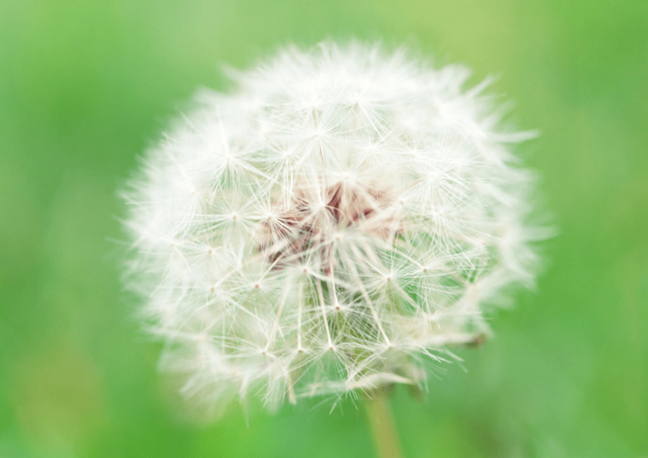 c4dc728d953a493b917cb1c6c3f5b5dd.png