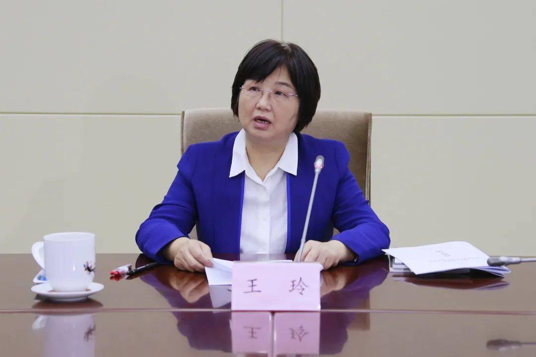 湖北省人大常委会党组书记,常务副主任王玲强调,要用法律的武器,法治