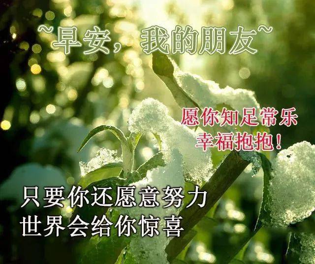 2月26日創意好看的早上好圖片鮮花帶字帶祝福語正月十五朋友圈唯美