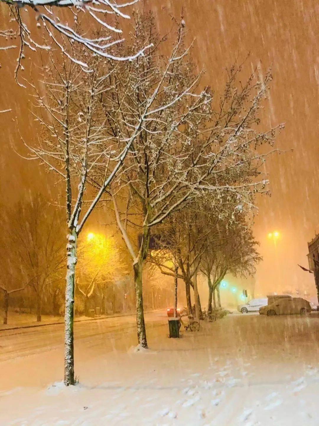 【开新局 谋新篇】你那里下雪了吗?