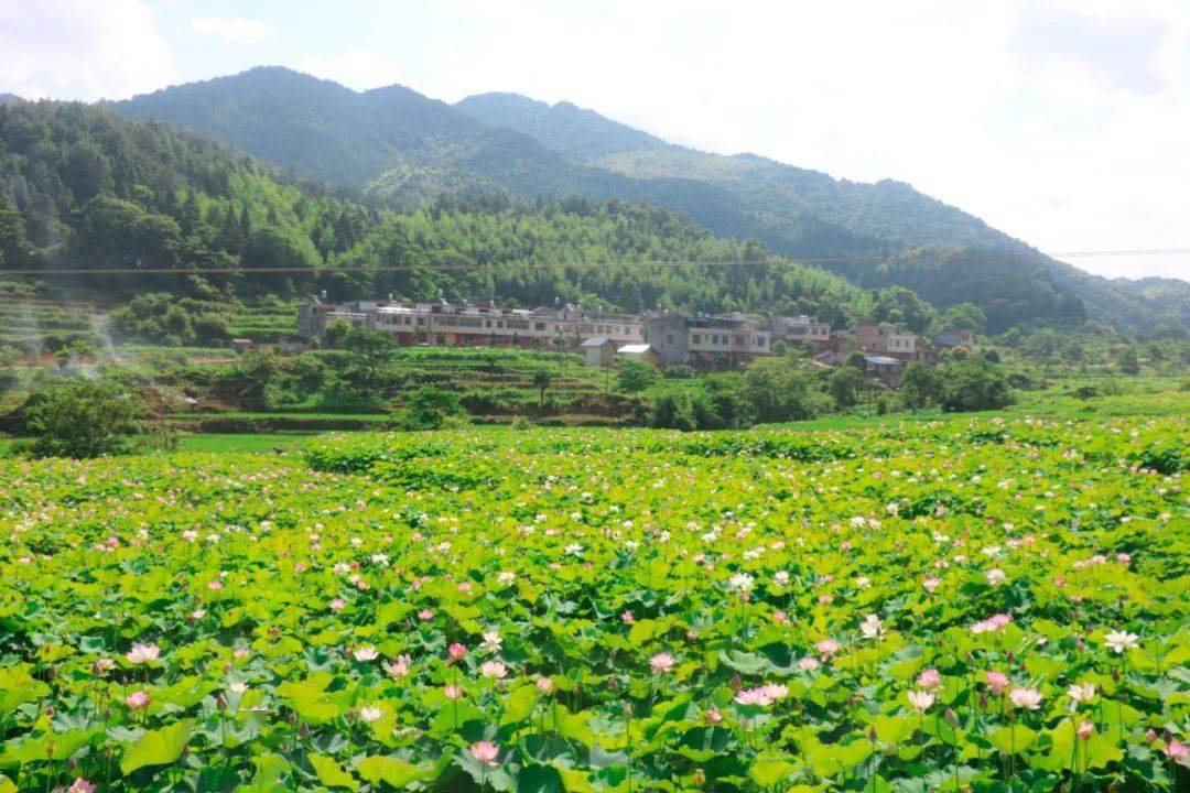 中联村人口_中联吊车图片(2)