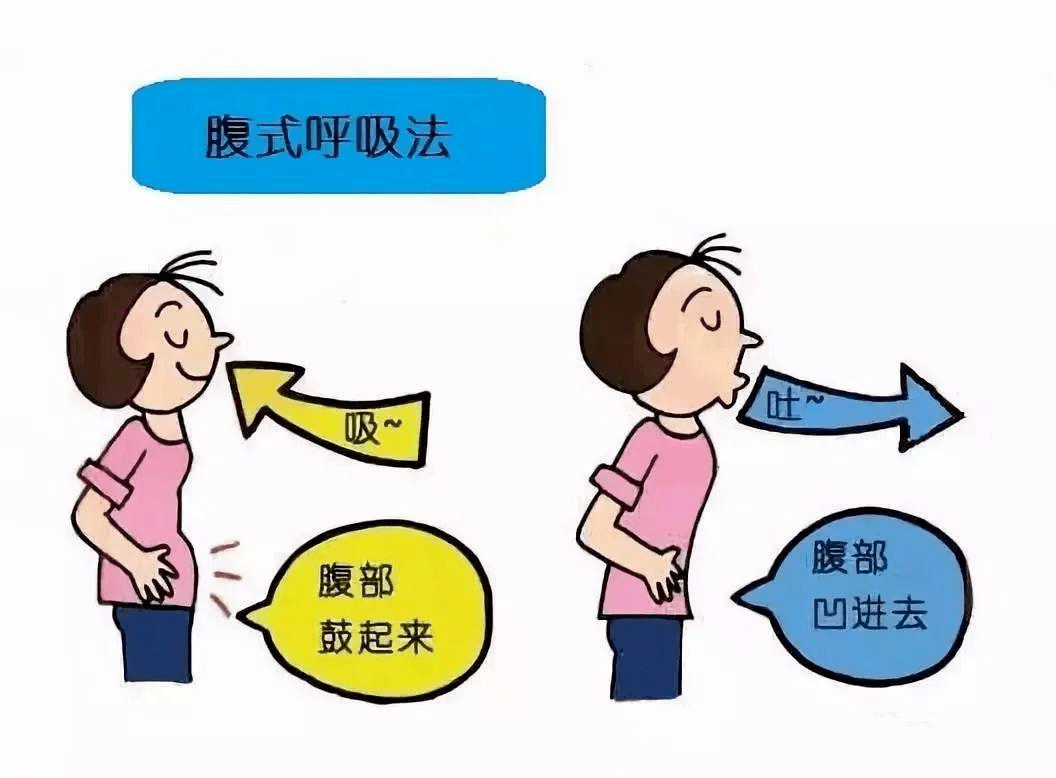 脾气一虚肺气先绝 脾气一虚肺气先绝方子